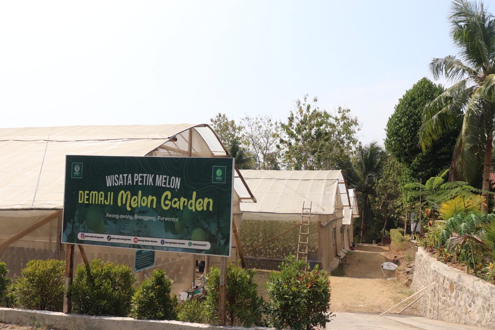 Demaji Melon Garden - Dokumentasi Wisata