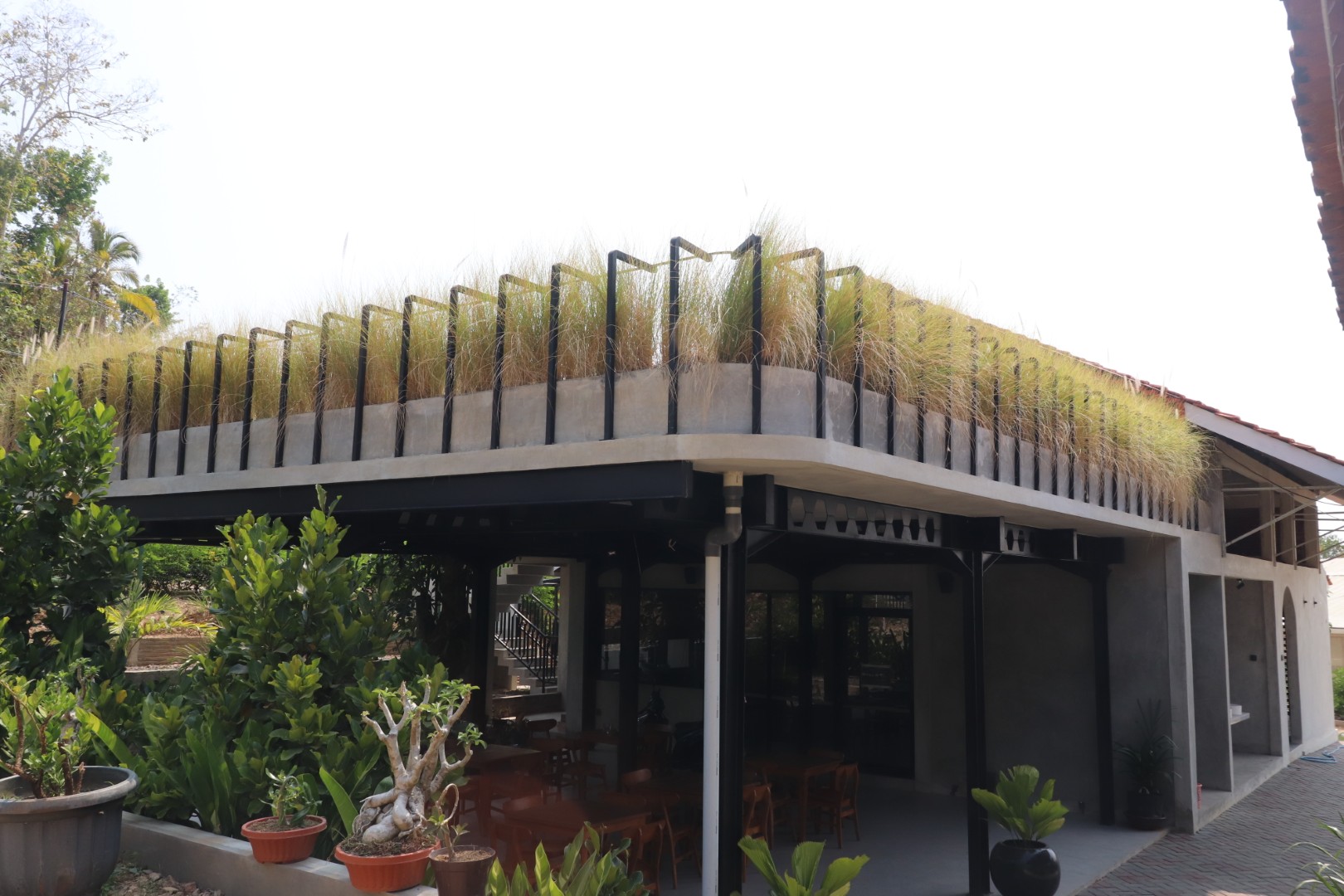 Demaji Melon Garden - Dokumentasi Wisata