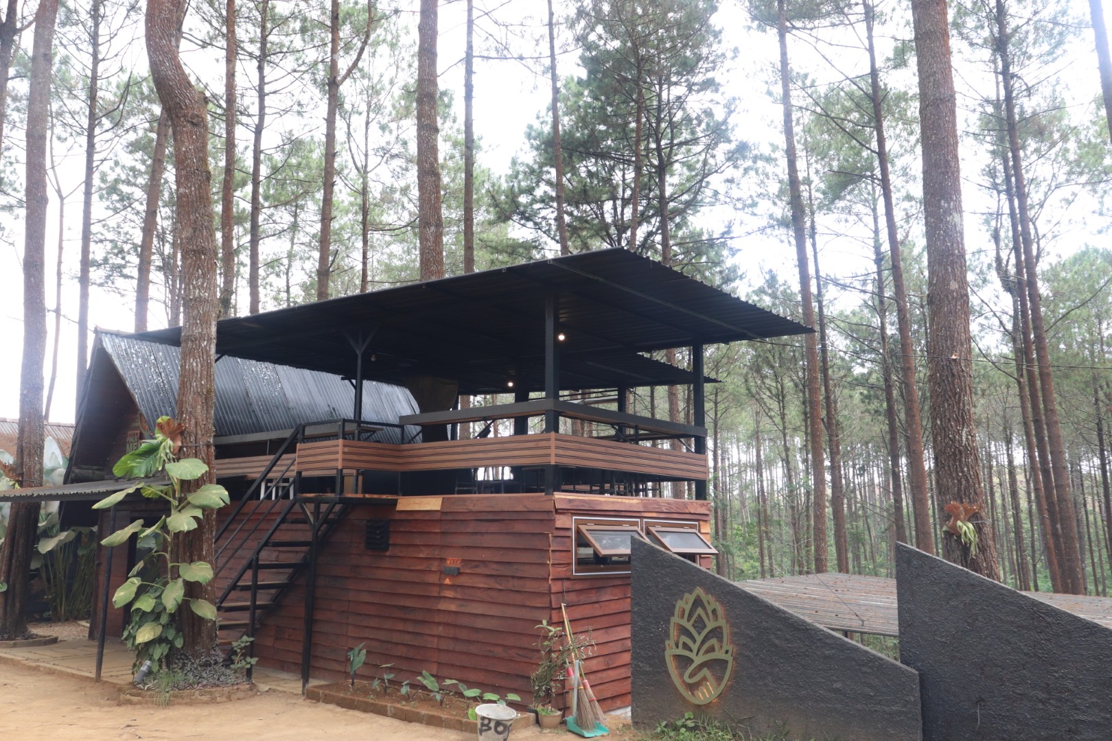 Hutan Pinus Kalilo - Dokumentasi Wisata