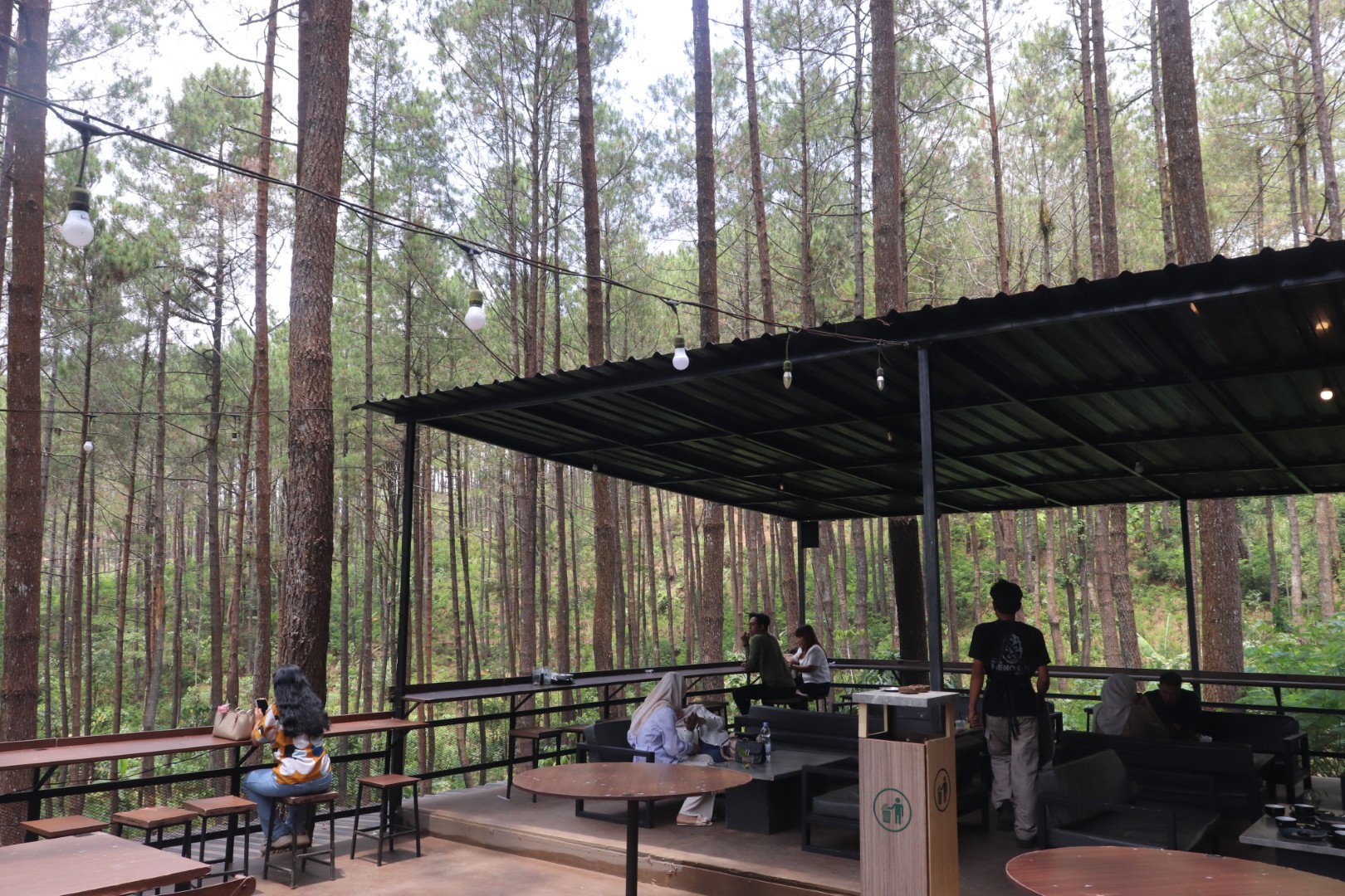 Hutan Pinus Kalilo - Dokumentasi Wisata