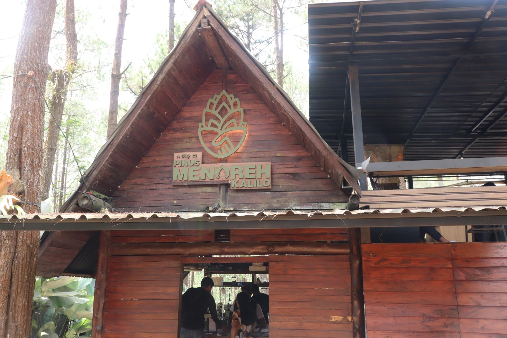 Hutan Pinus Kalilo - Dokumentasi Wisata