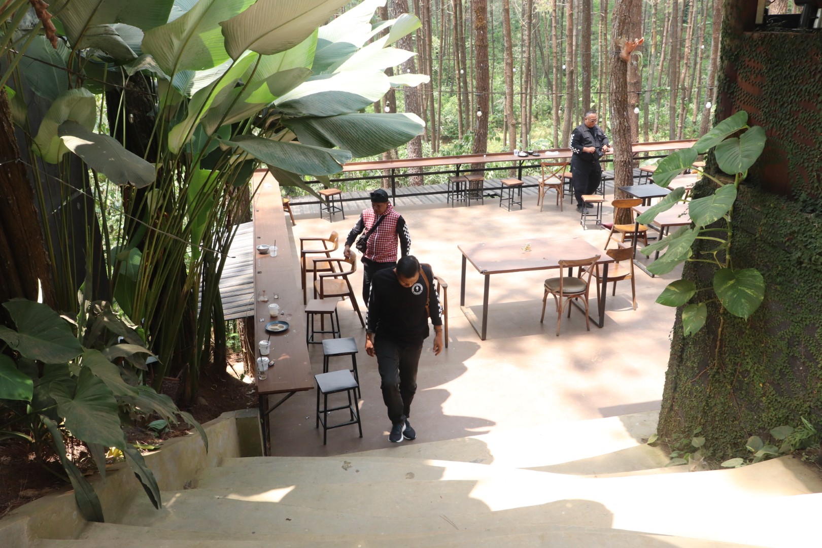 Hutan Pinus Kalilo - Dokumentasi Wisata